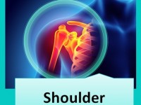 A graduate’s guide: The shoulder